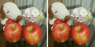 りんごありがとうございます！