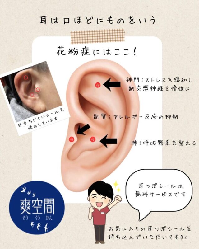 花粉は通年飛んでいる…花粉症がつらい方へ