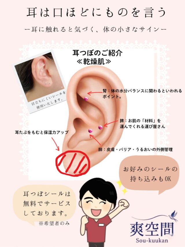 肌の乾燥は外からの保湿だけじゃ足りません