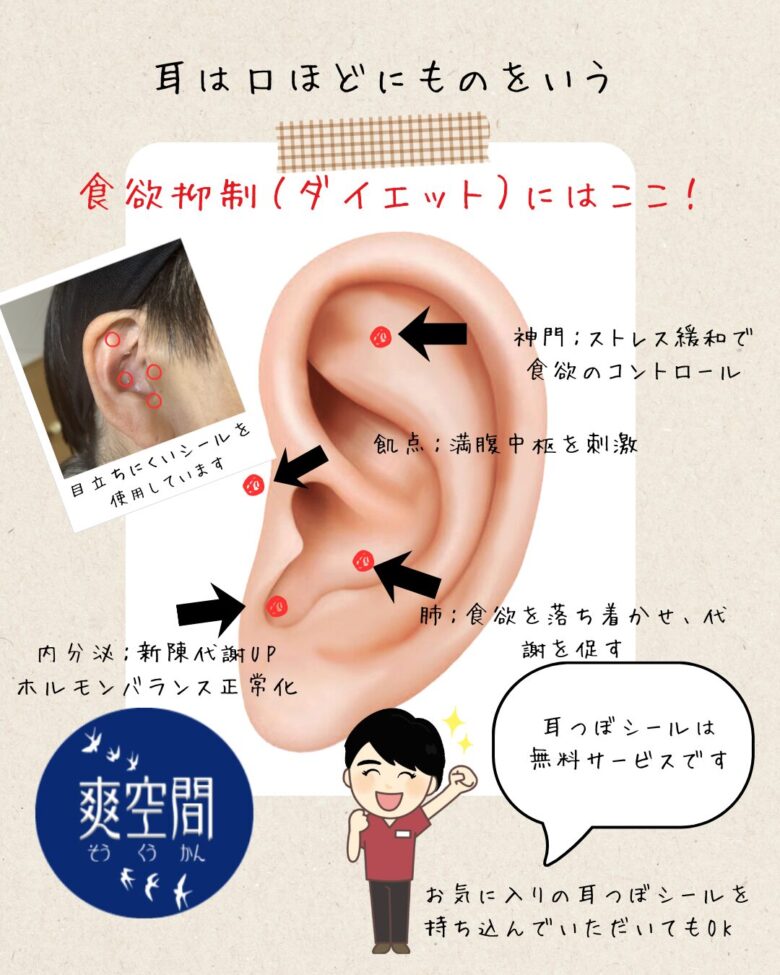 ダイエットが続かない方へ｜耳つぼで食欲コントロールをサポート