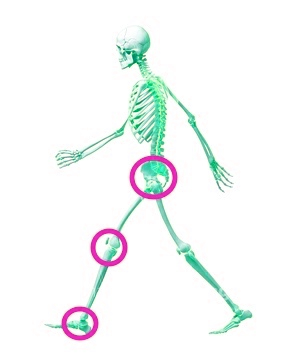 下半身で特に不調の多い関節の位置を図解