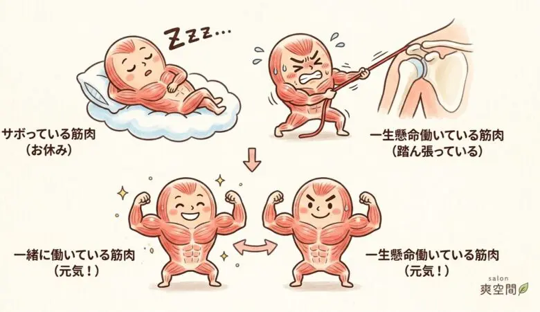 一人では頑張らず頑張る筋肉仲間を起こしてあげたことで、体が楽になる筋肉のイメージ