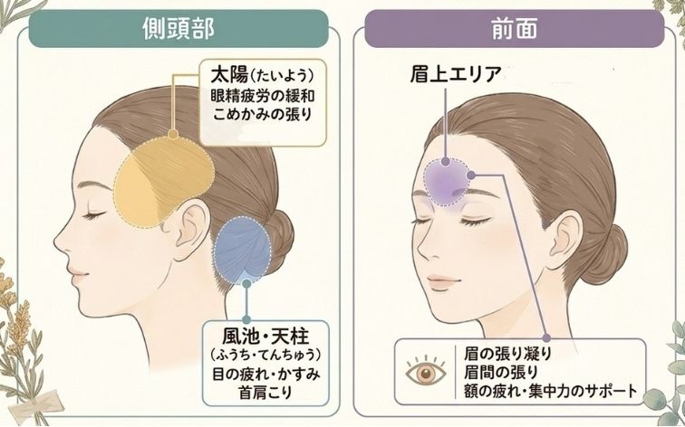 頭のパーツ別・お悩みマップ(眼精疲労)