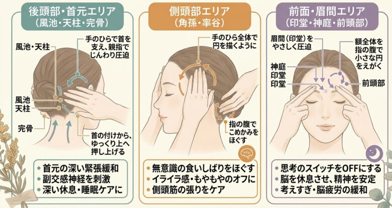 自律神経の乱れでお困りの方抜けのセルフでほぐせる頭のエリアを図で説明しています。
側頭部は耳の上あたり後頭部は首の付け根や耳たぶの付け根をほぐすとリラックスが可能です