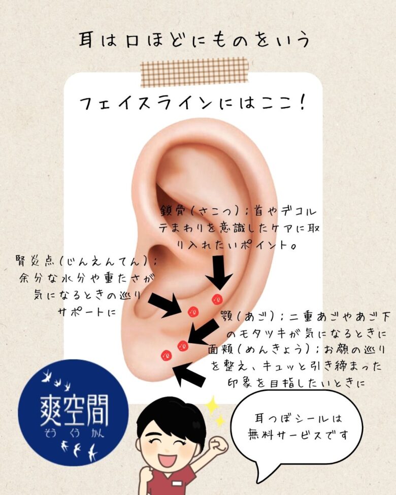 フェイスラインをすっきりさせるみみつぼのご紹介
面頬（めんきょう）：お顔の巡りを整え、キュッと引き締まった印象を目指したいときに

顎（あご）：二重あごやあご下のモタツキが気になるときのピンポイントケアに

腎炎点（じんえんてん）：余分な水分や重たさが気になるときの巡りサポートに

鎖骨（さこつ）：首やデコルテまわりを意識したケアに取り入れたいポイント。お顔まわりをすっきり整えたいときに、やさしく刺激します。