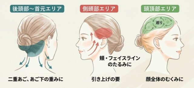 「頭のどこをほぐす？」二重あご・たるみ・むくみが気になるときの頭のケア