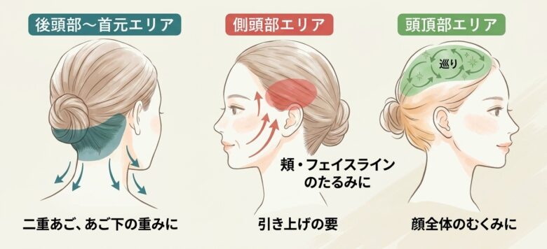 「頭のどこをほぐす?」二重あご・たるみ・むくみが気になるときの頭のケア